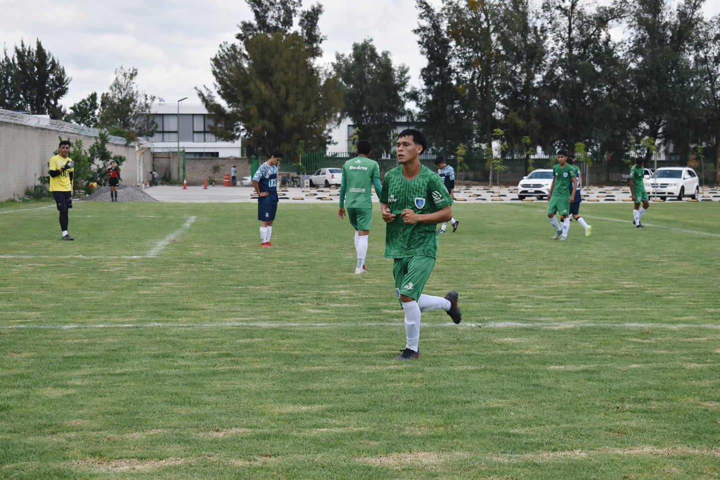 Conjunto de entrenamiento - Edición Verde