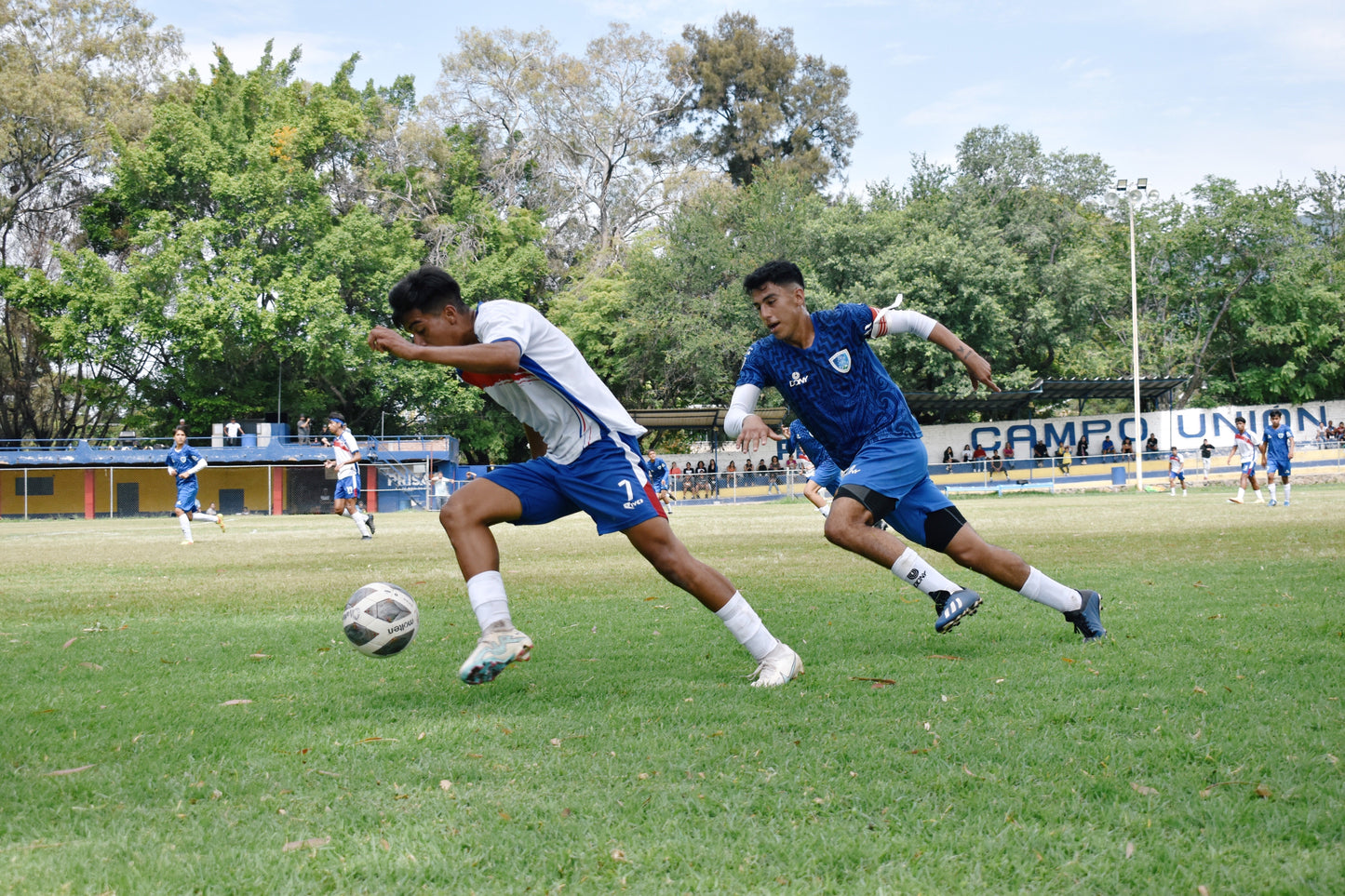 Conjunto de entrenamiento - Edición Azul