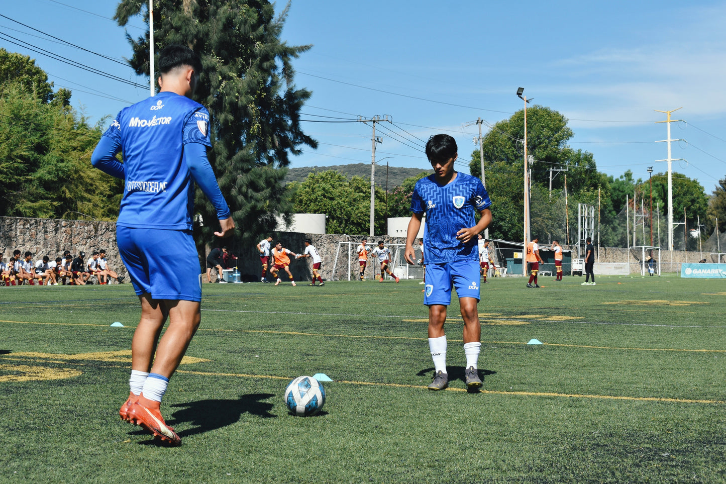 Conjunto de entrenamiento - Edición Azul