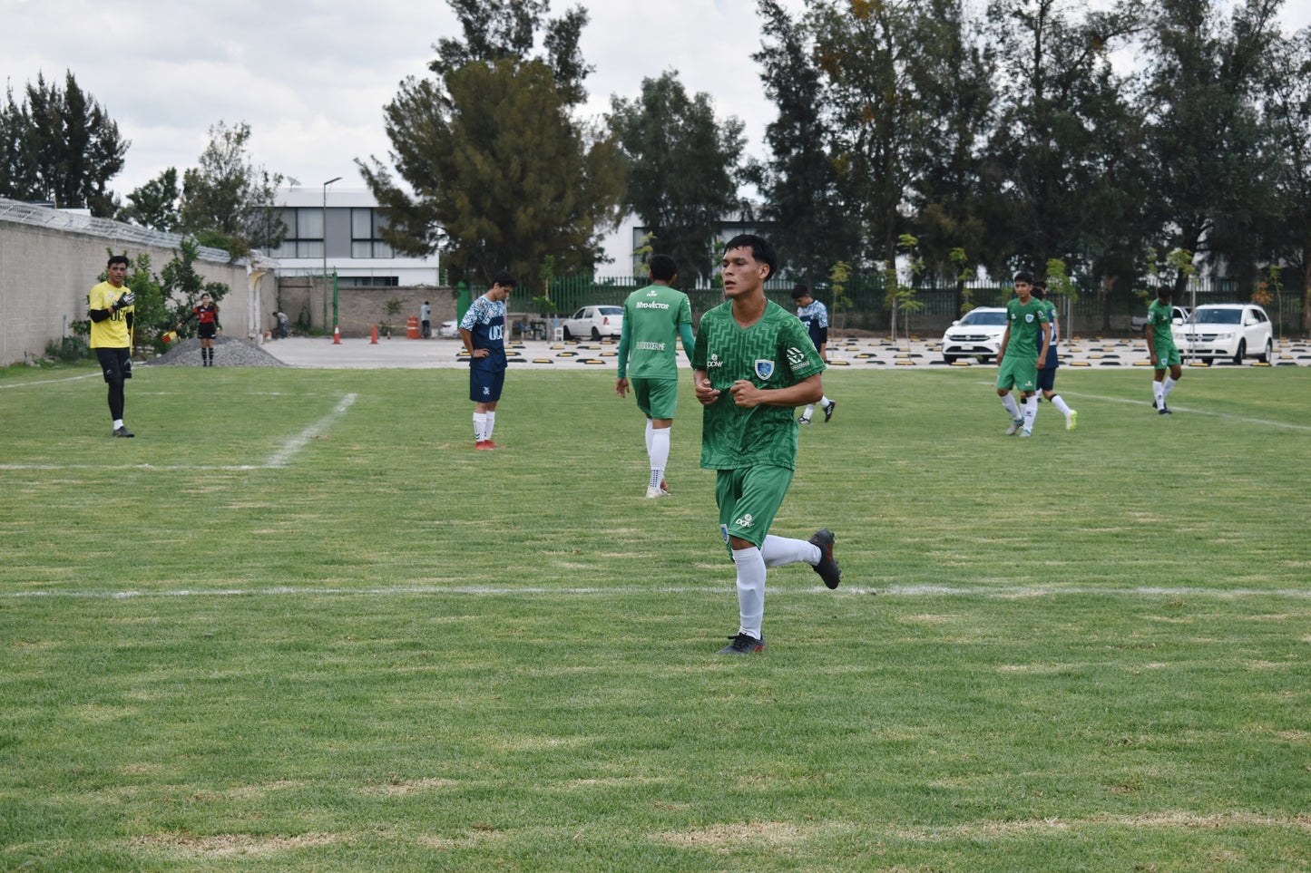 Jersey Oficial de Entrenamiento - Edición Verde