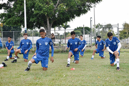 Conjunto de entrenamiento - Edición Azul